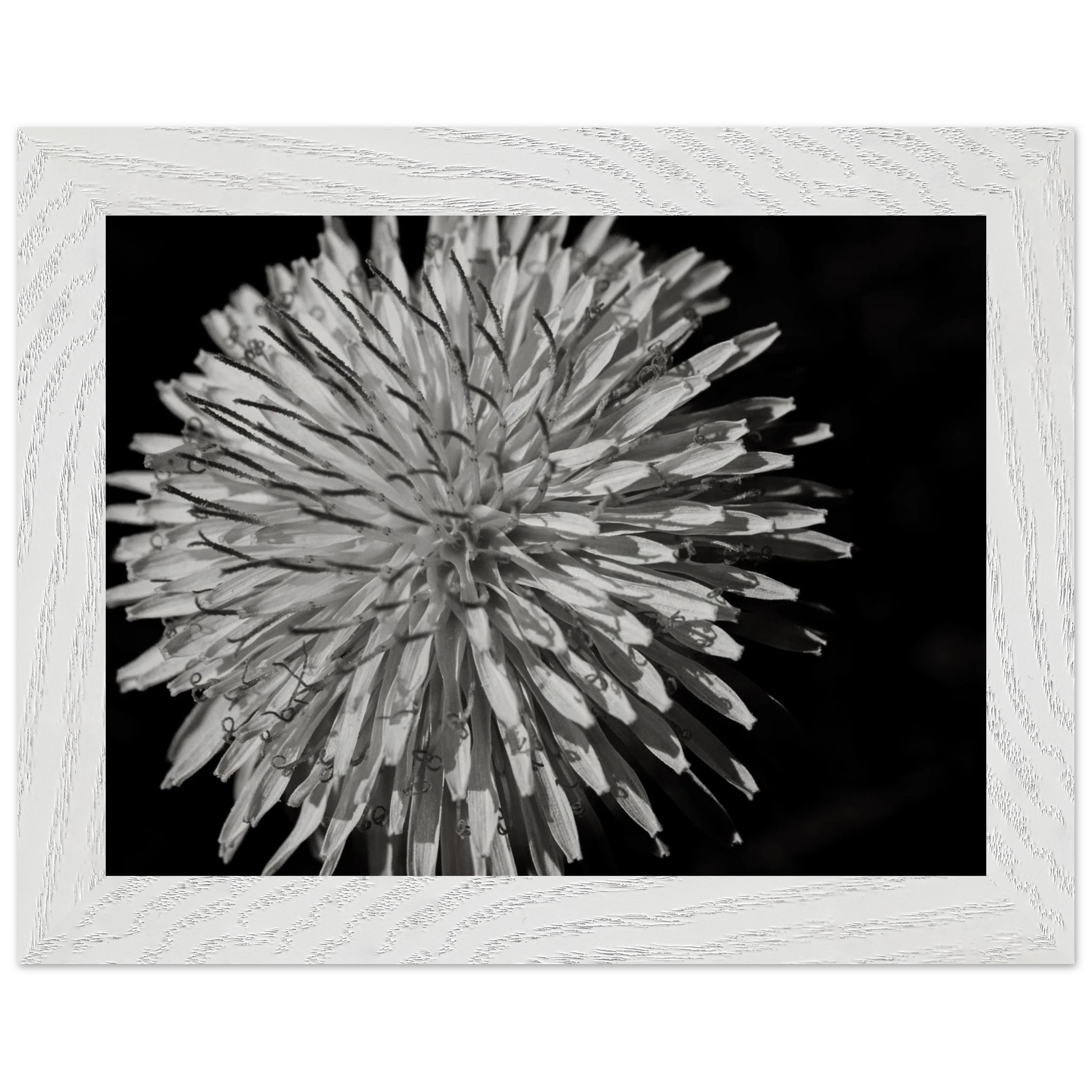 9788a721-c1af-469f-b3d7-3f687f505ff5