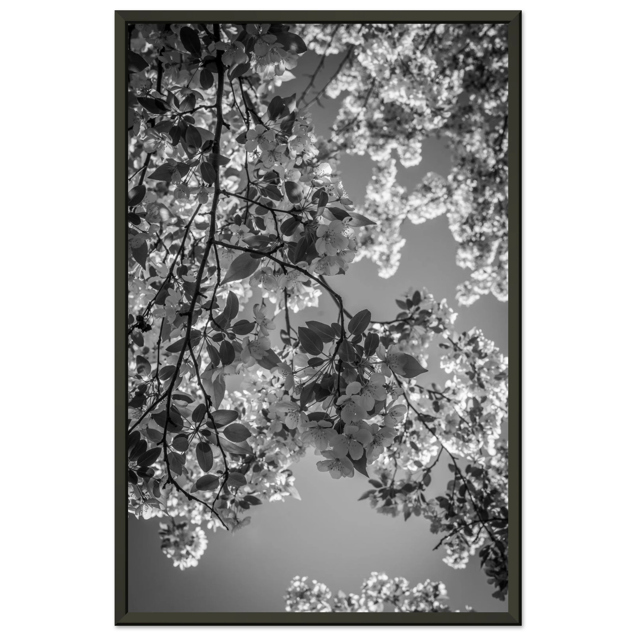 979a8fcc-779f-4358-8788-0c4de152c3a2