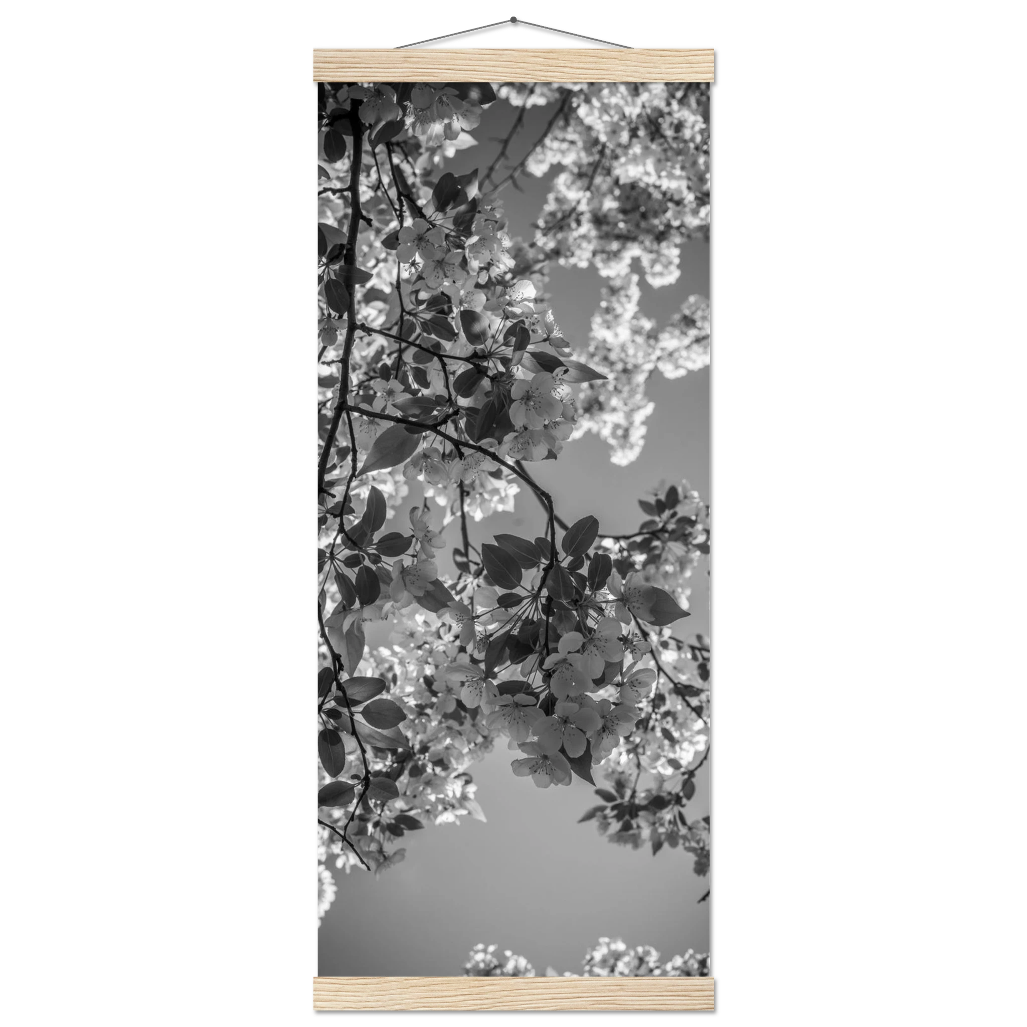 9a38b8e8-f58c-4fe0-be85-d76c2c068422