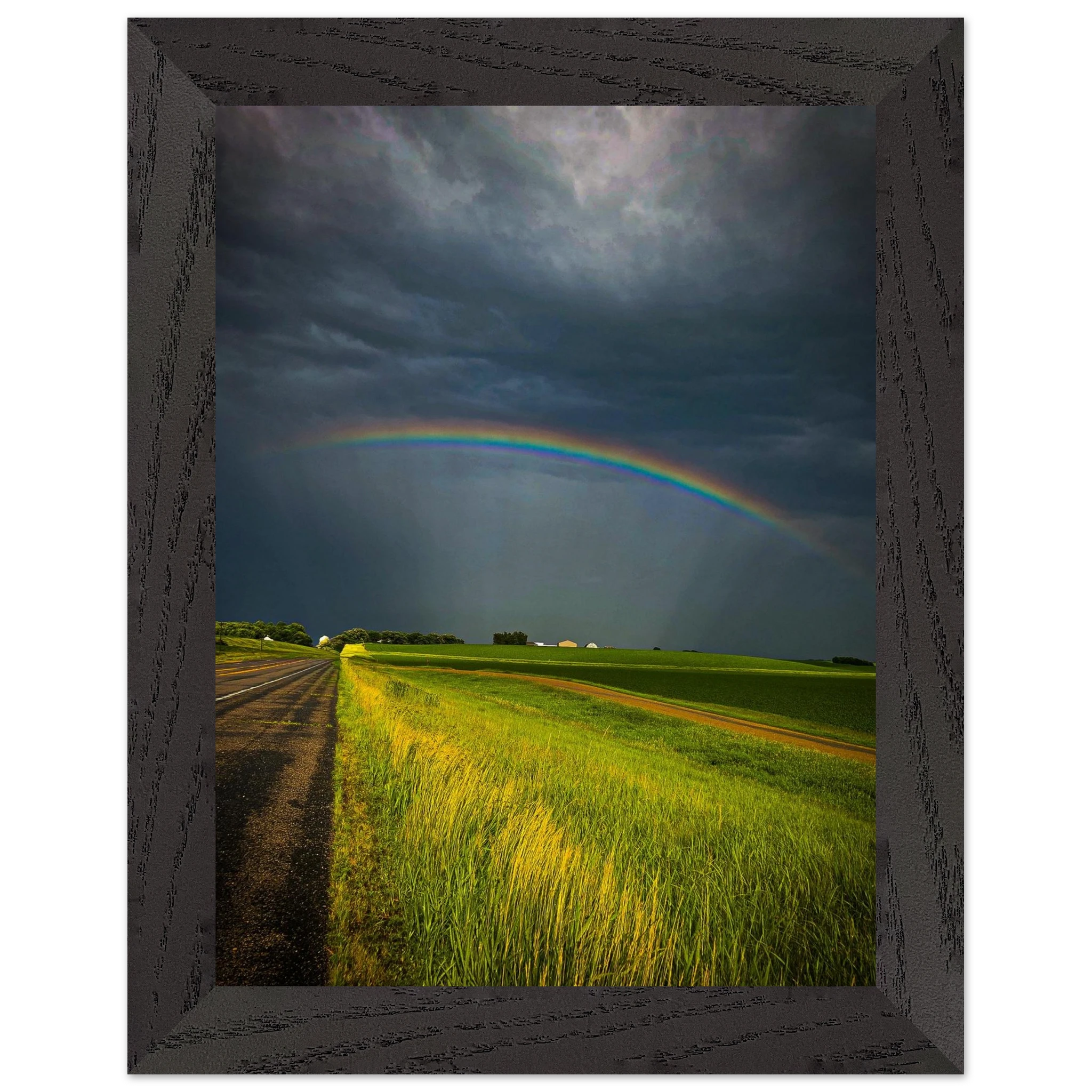 9b1797c5-0f75-4030-aa45-2eac566edde2