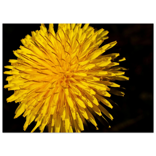 9ba8550e-7f48-4886-9c6a-ecc1c6543344