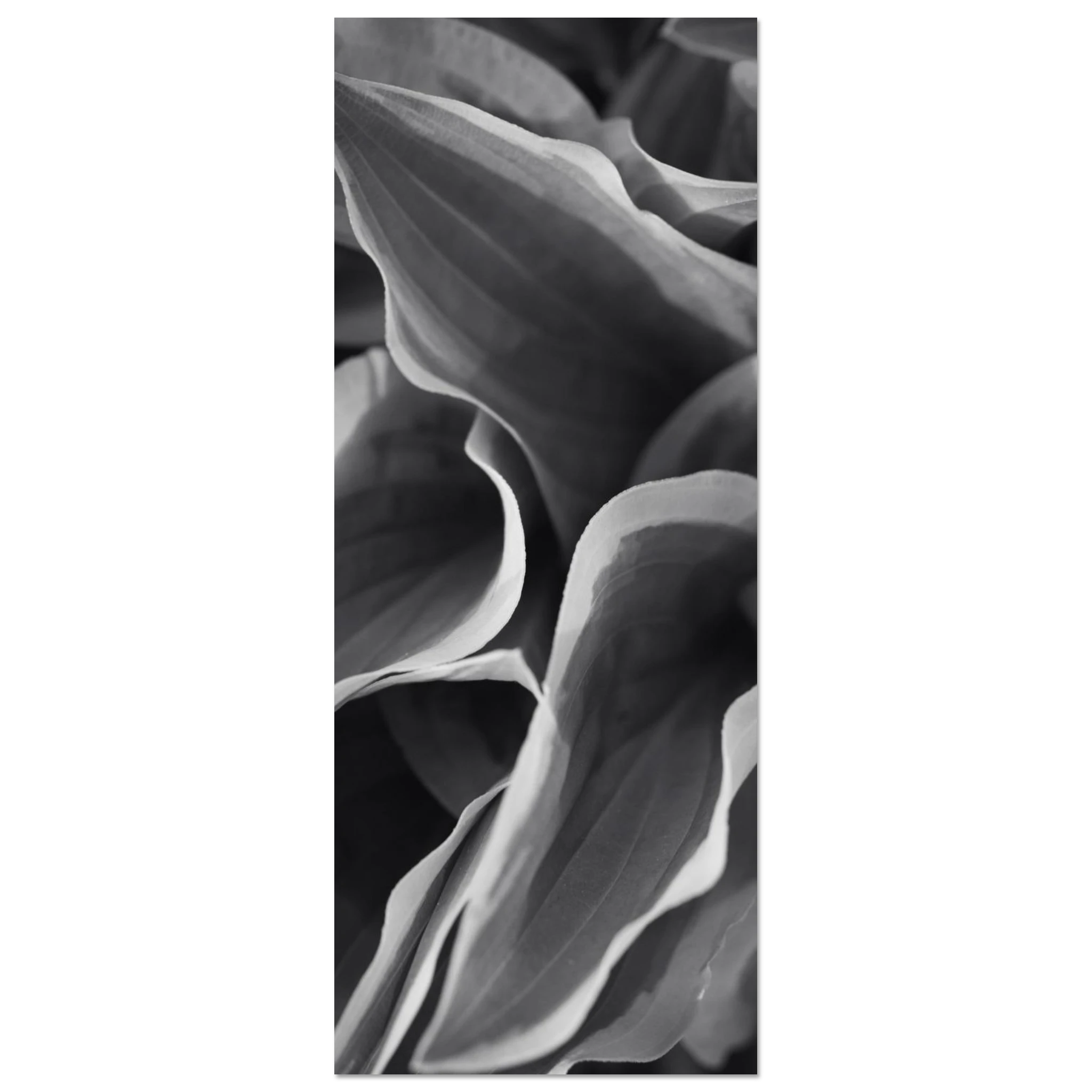 9be17781-bc05-4012-9c70-32506bbd66bf