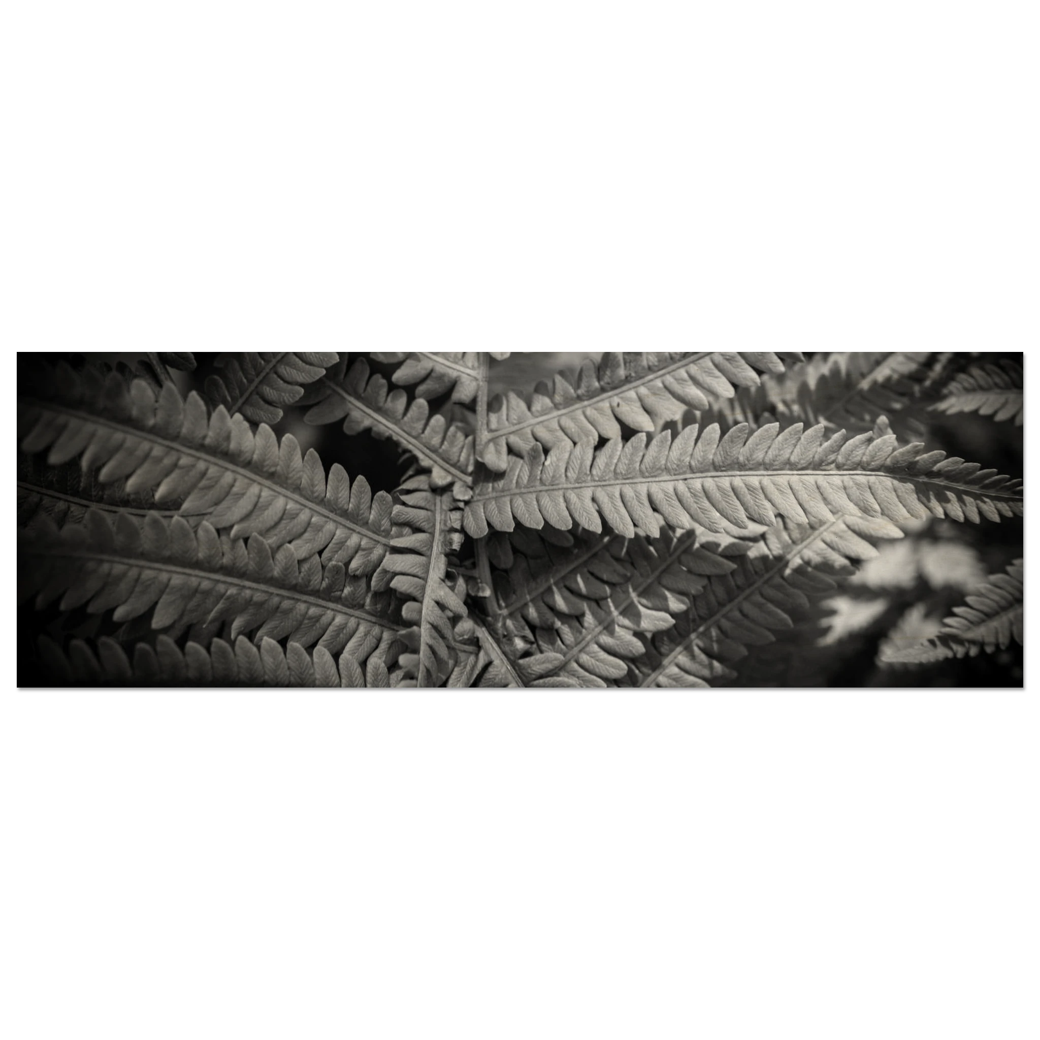 9c20d04a-9ded-444f-bd4e-2e99e2ed8536