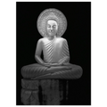 9ca26c63-4c72-4da8-b009-dc0fd5a02de9