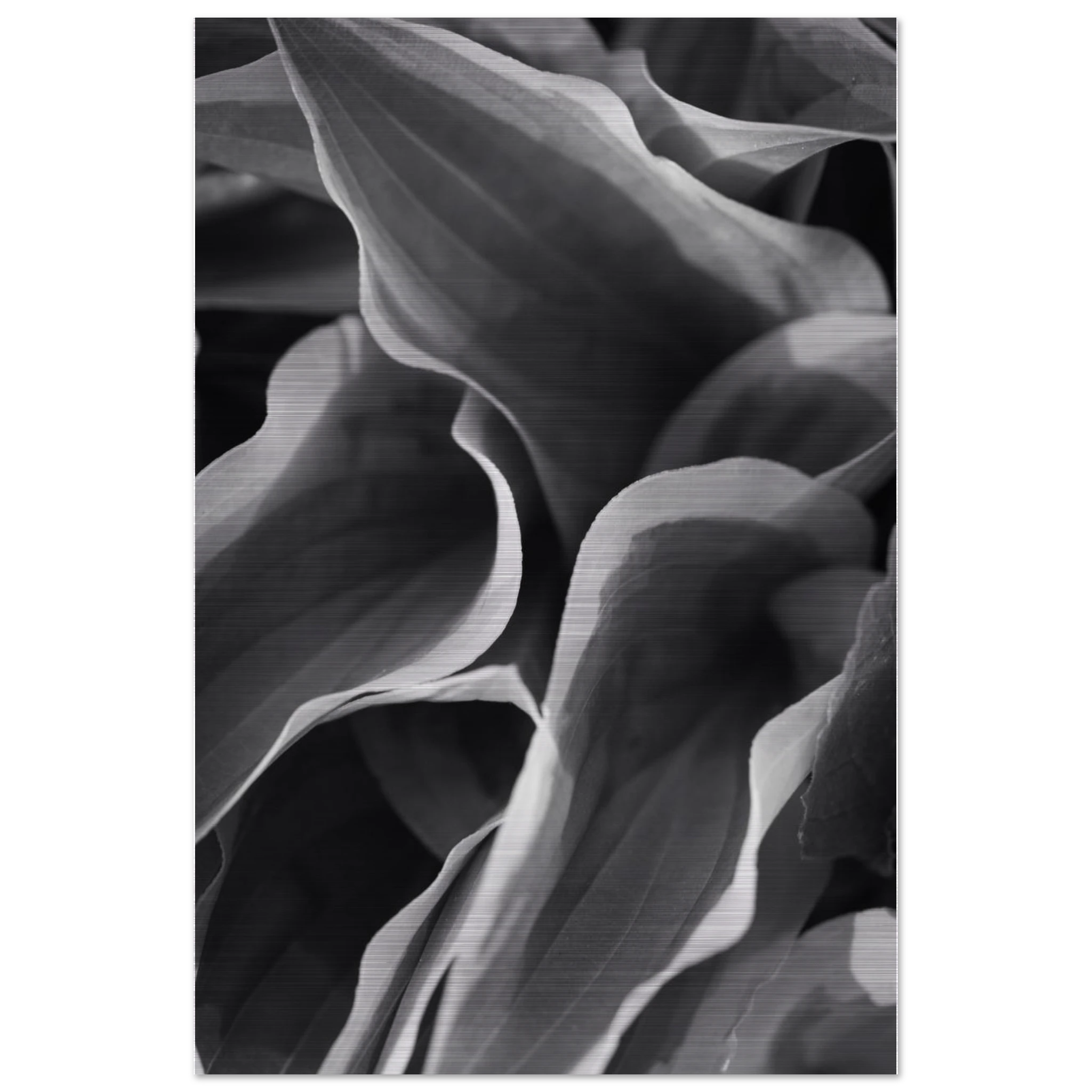 9e84f59c-1045-4a86-be90-4c16ffc56ff4
