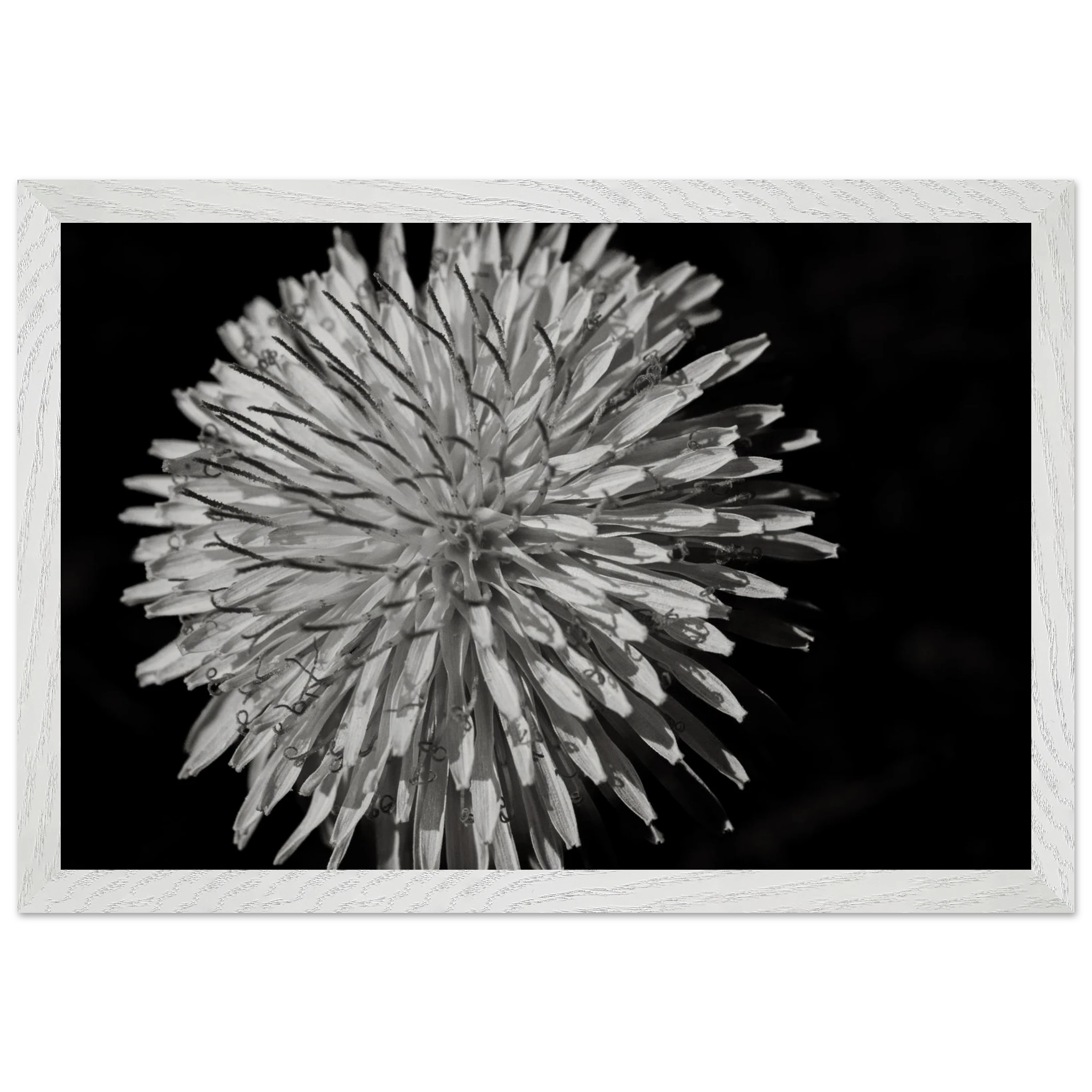 9f4c77a5-722b-4c4f-8268-5c3594a9e6a5