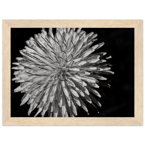 a154780d-7836-4b4f-a2c3-26cbd4dd8c5f