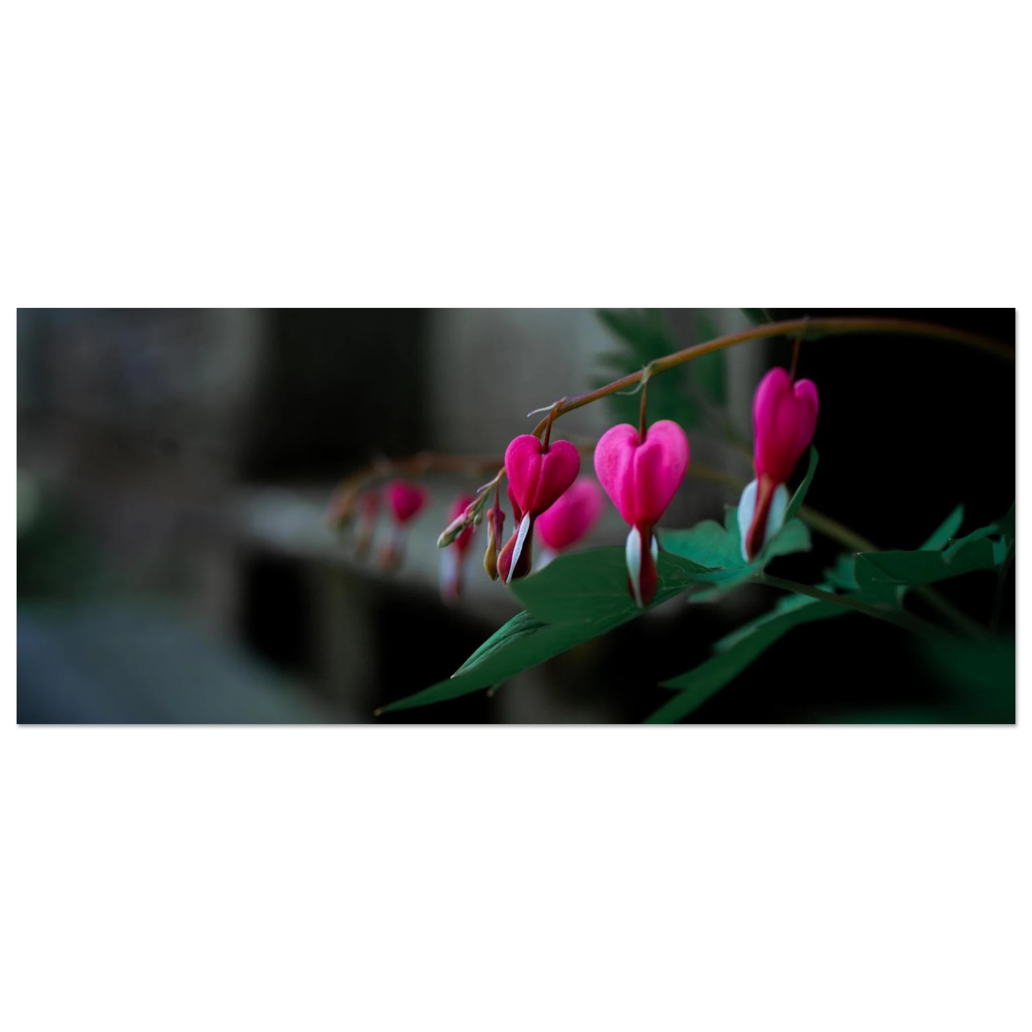 a18d3856-567d-4b04-8509-12e7c478f2b9