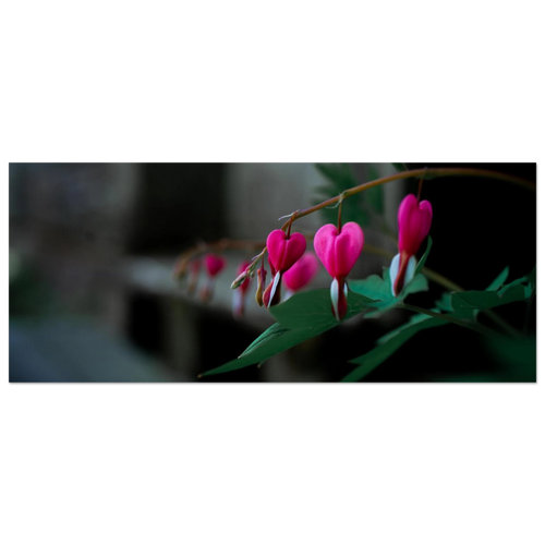a18d3856-567d-4b04-8509-12e7c478f2b9