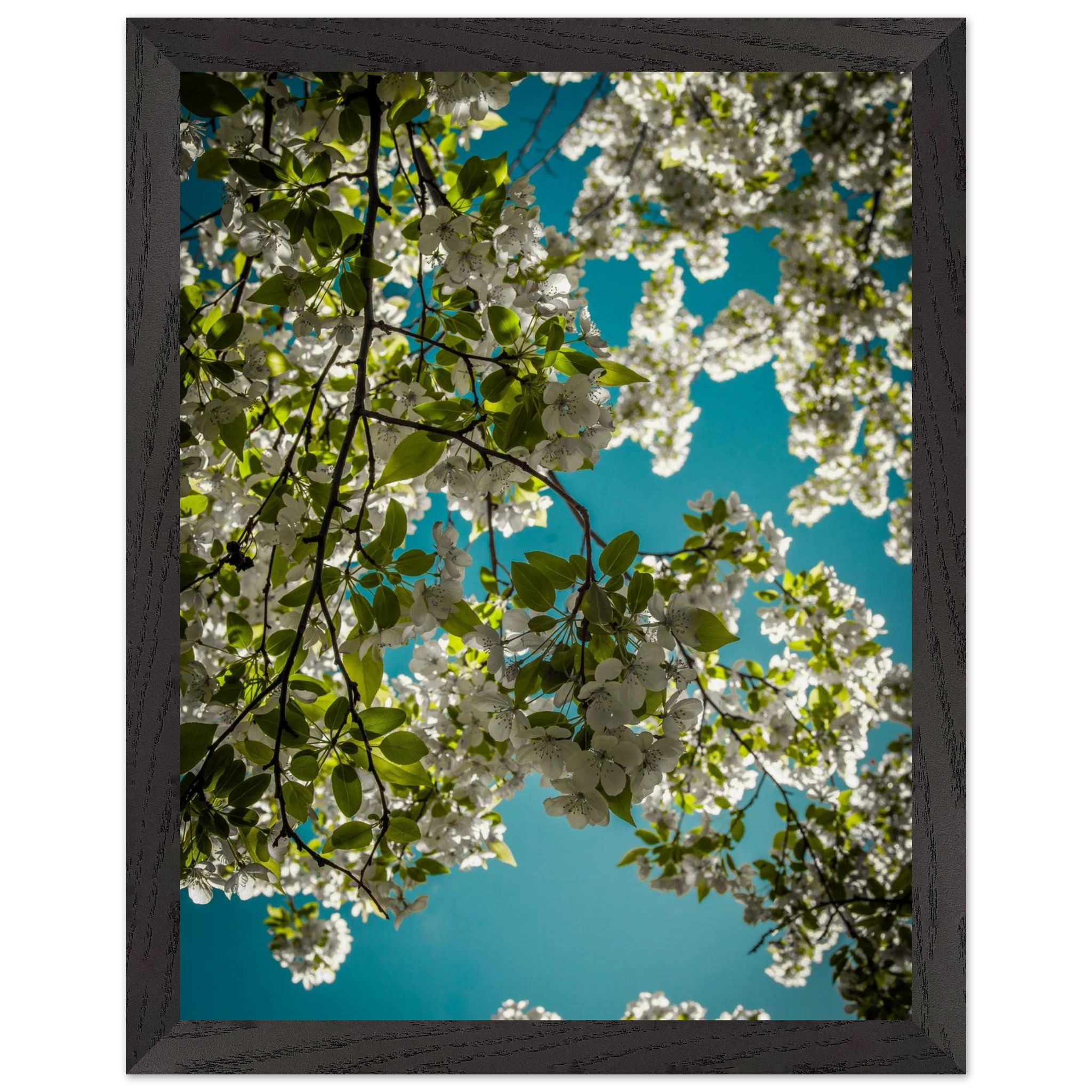 a2239757-63f2-4e4d-9974-33b94ef4bd6a