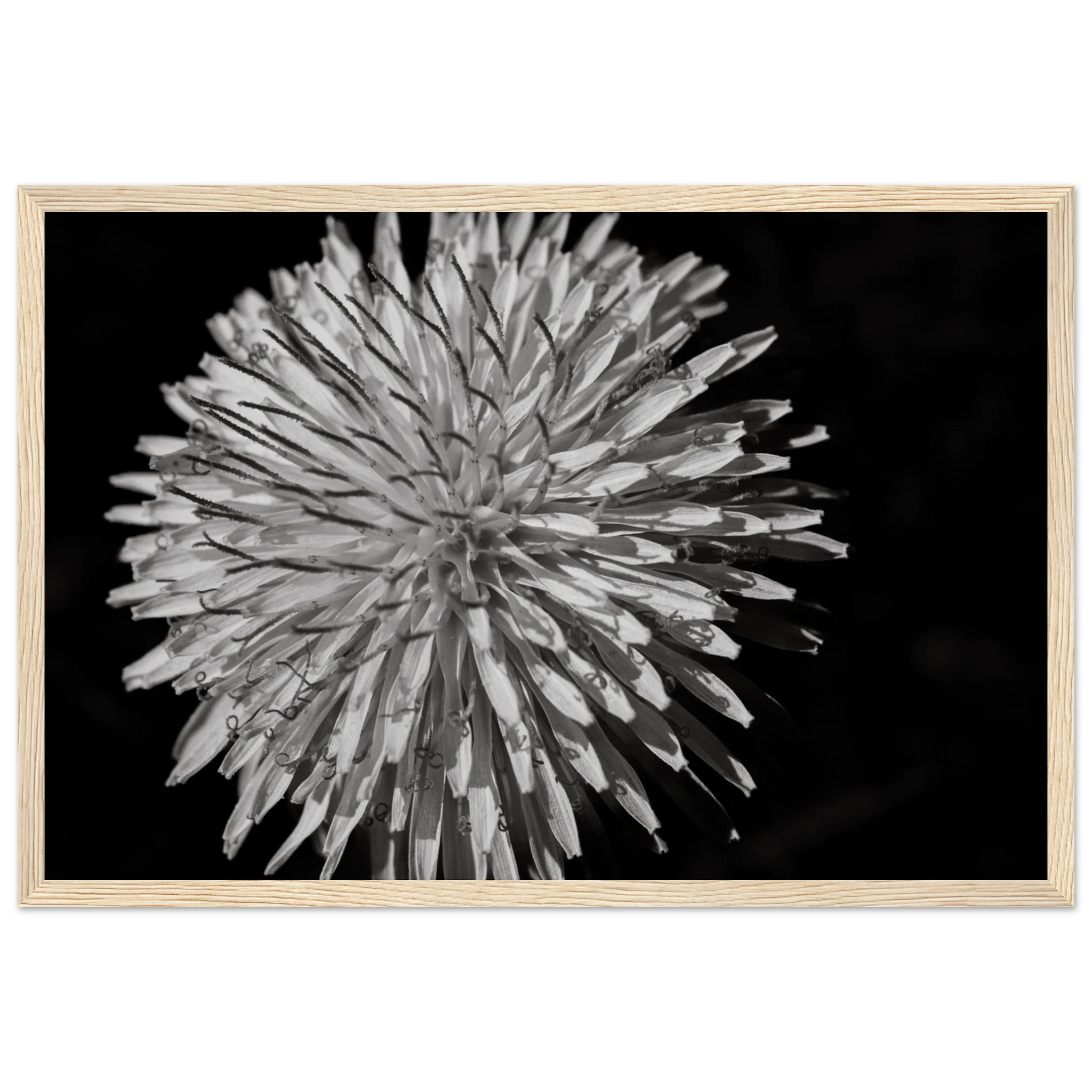 a2cac1d4-30ea-4f5a-889f-733a16670c12