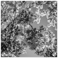a3ec884d-7569-4988-b910-196bcdec775d