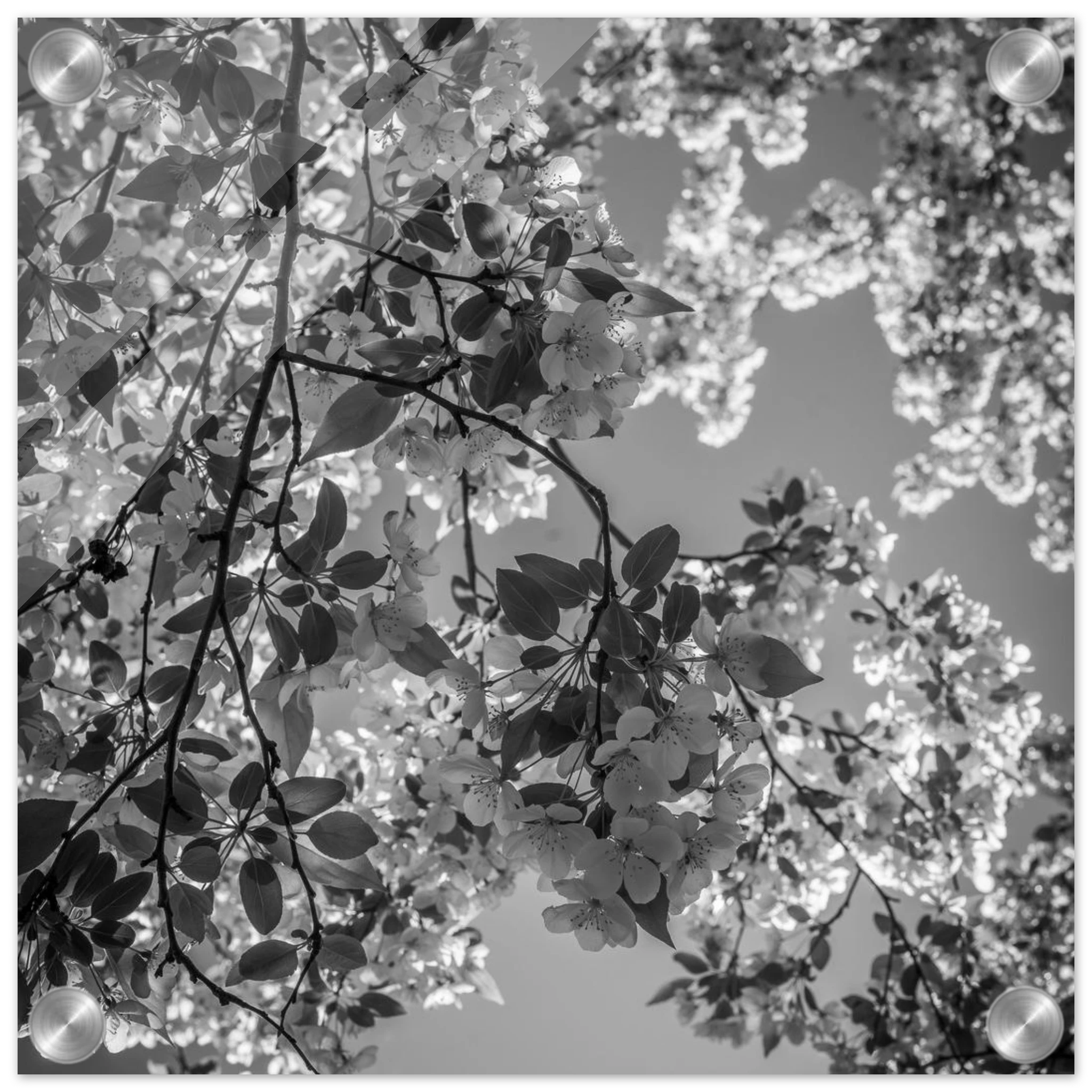 a3ec884d-7569-4988-b910-196bcdec775d