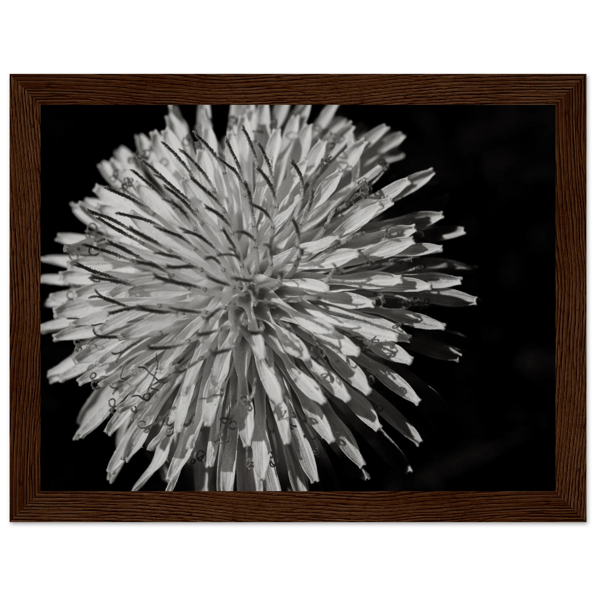 a5686383-eeb7-45d1-93d4-4c5720800902