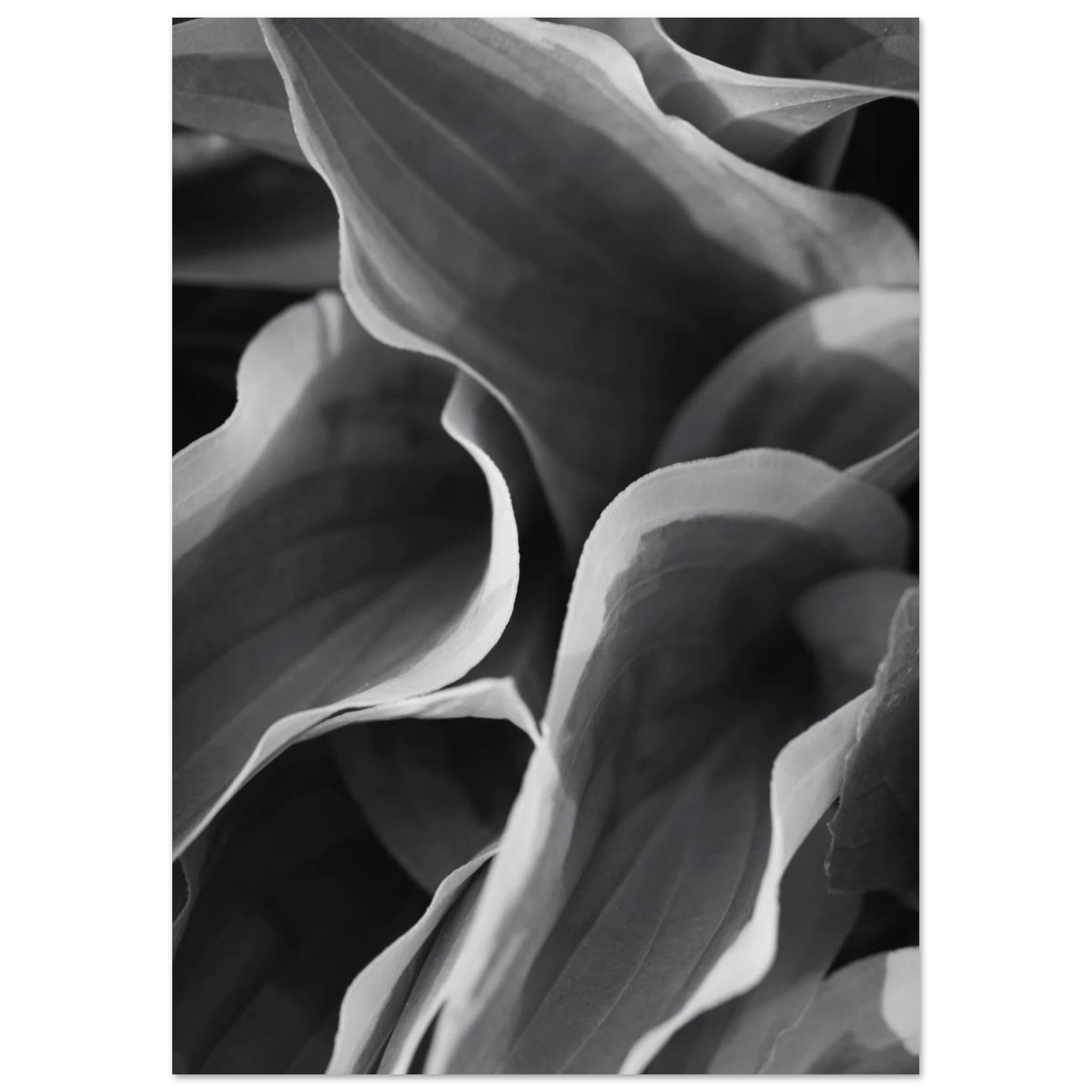 a5eb69a6-5f20-4dbc-8aeb-8ca8c4842f57