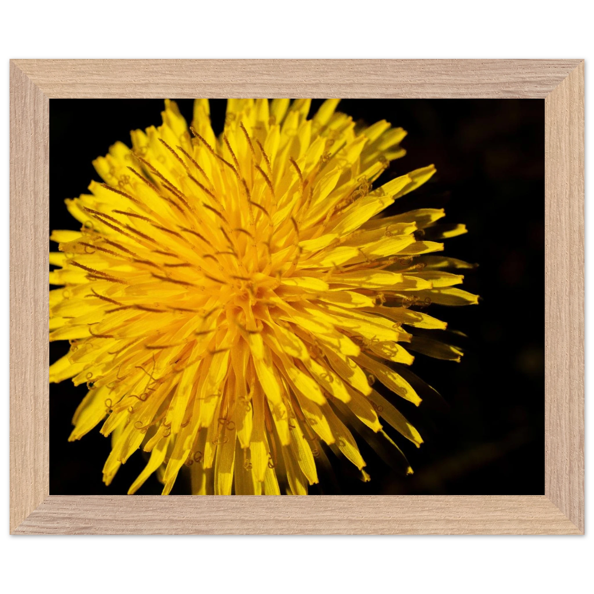 a619833d-7d01-4a64-942c-db0d9ed77135