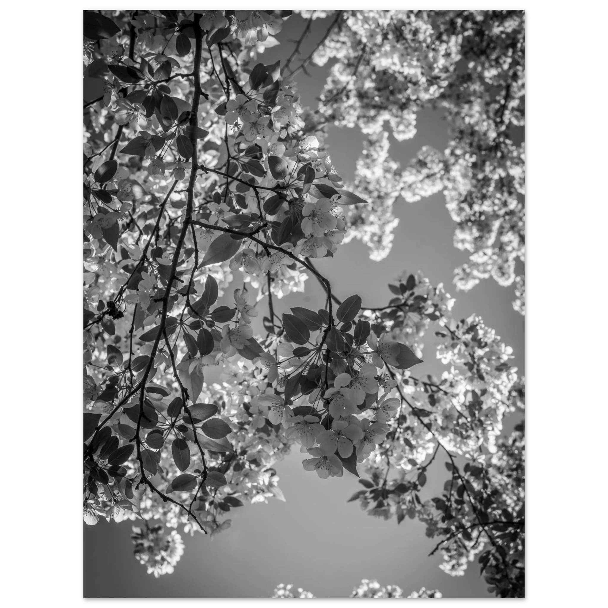 a87730dc-bc62-44f2-85f8-504d2fbace77