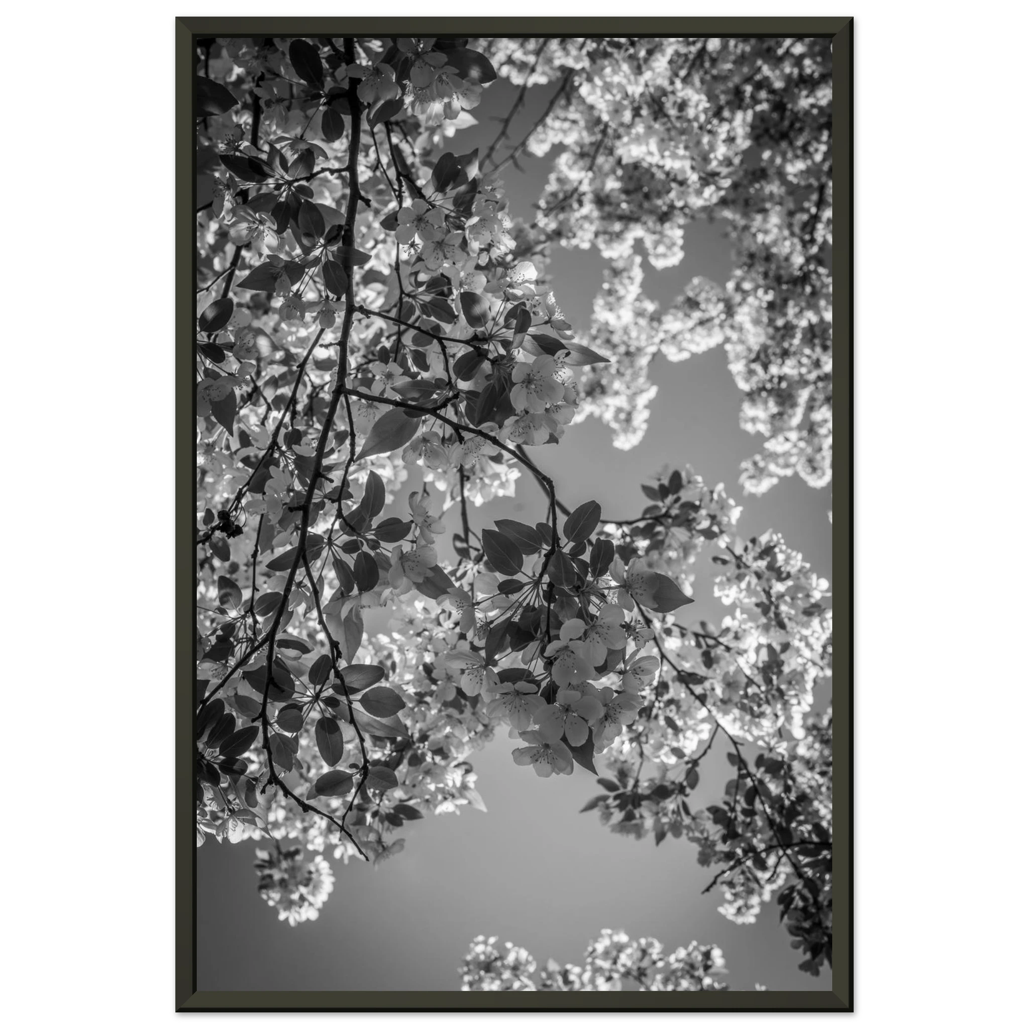 a894626e-bf8a-4b2a-a0db-d0ddf2166391