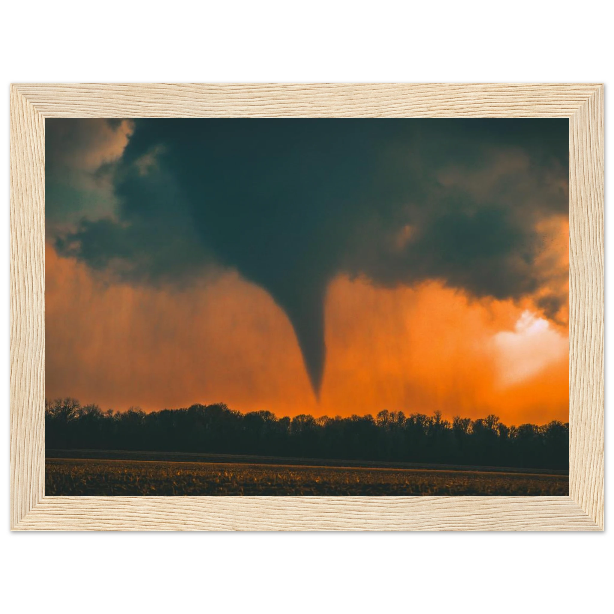 a8ae2fd4-9779-464d-9f30-e72ff1bba4ec