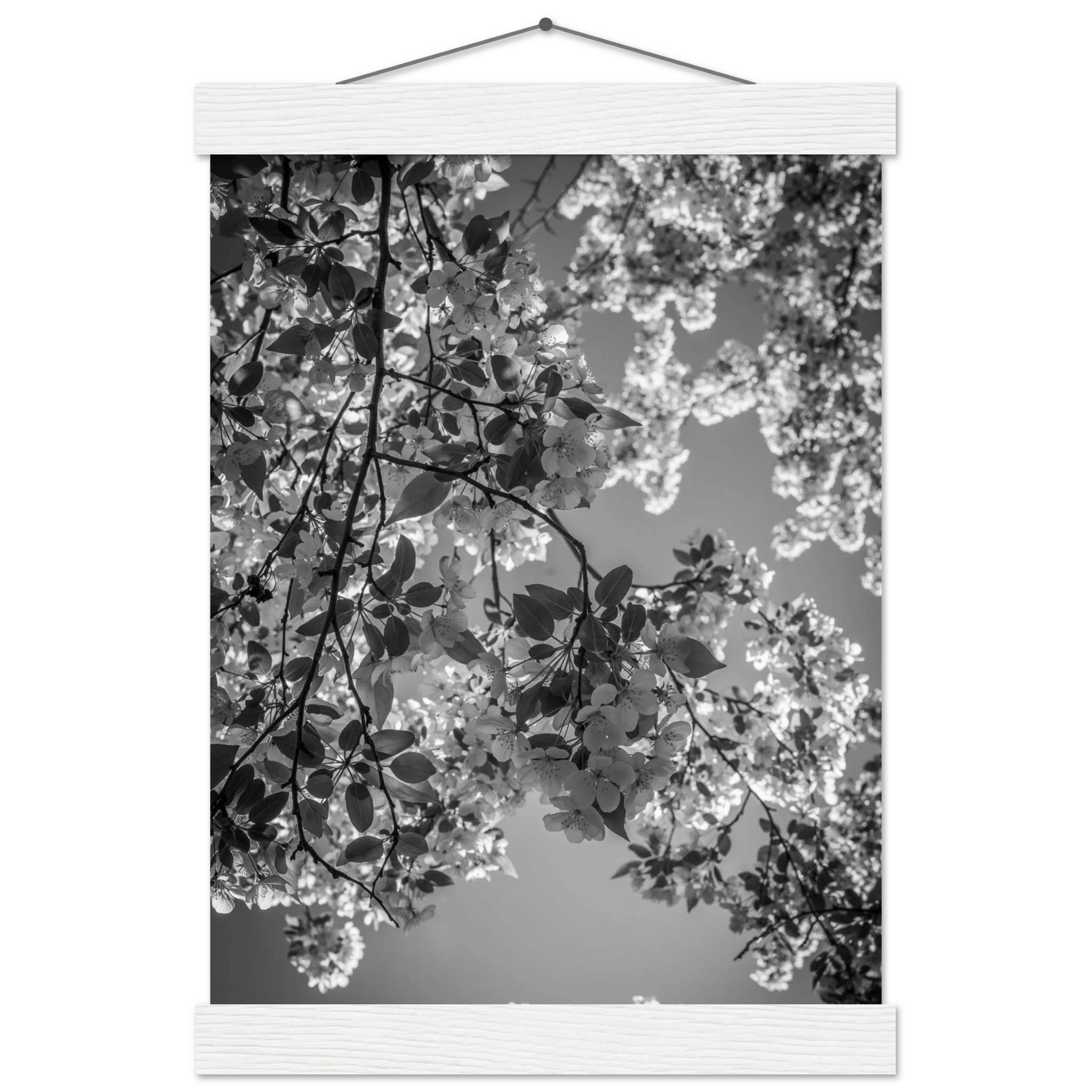 a8bb2945-a880-4823-bc3f-3899a05eb49c