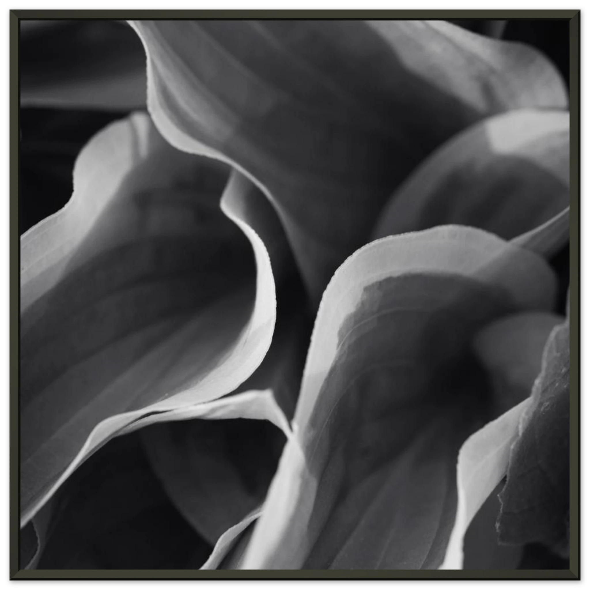 a8d878d0-e3cc-449a-81f3-494dd5ec551e