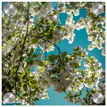 a9ef88c4-6c3c-4a28-8261-43a03c09146a
