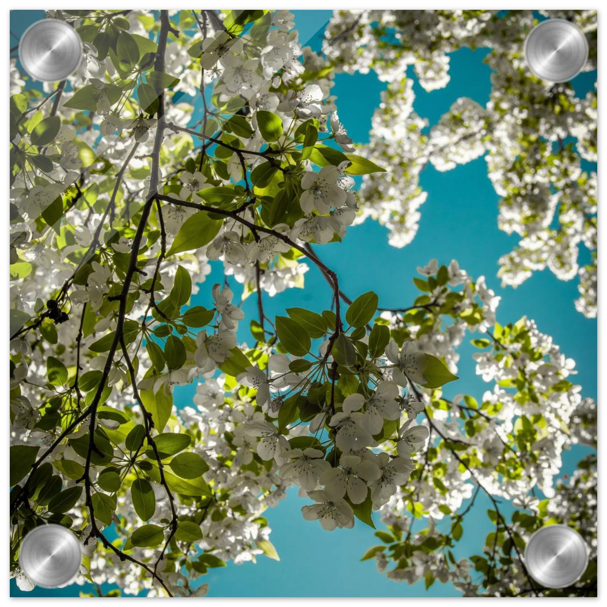 a9ef88c4-6c3c-4a28-8261-43a03c09146a