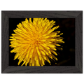 aa166974-1405-42f7-bbde-e923df0f83a2
