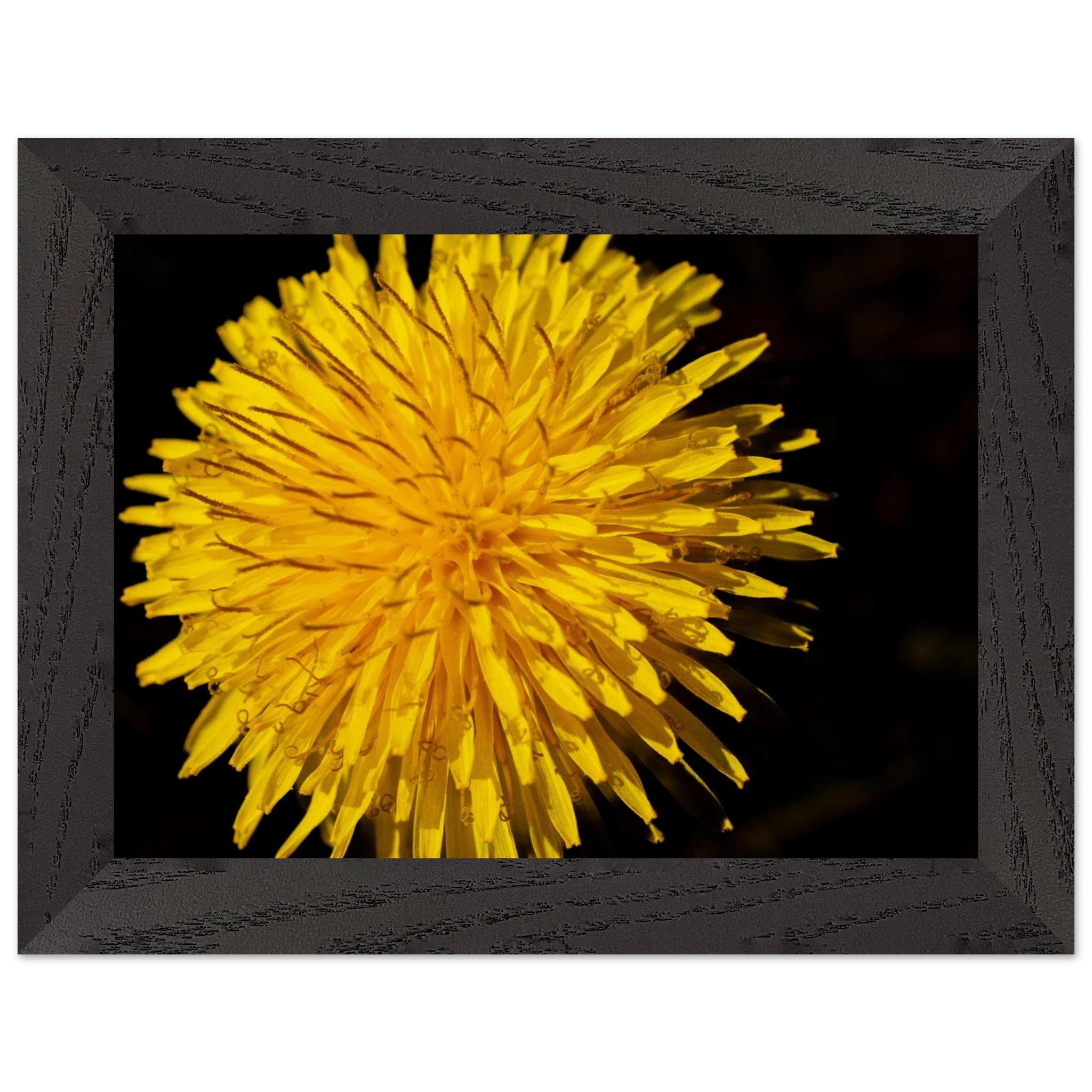 aa166974-1405-42f7-bbde-e923df0f83a2
