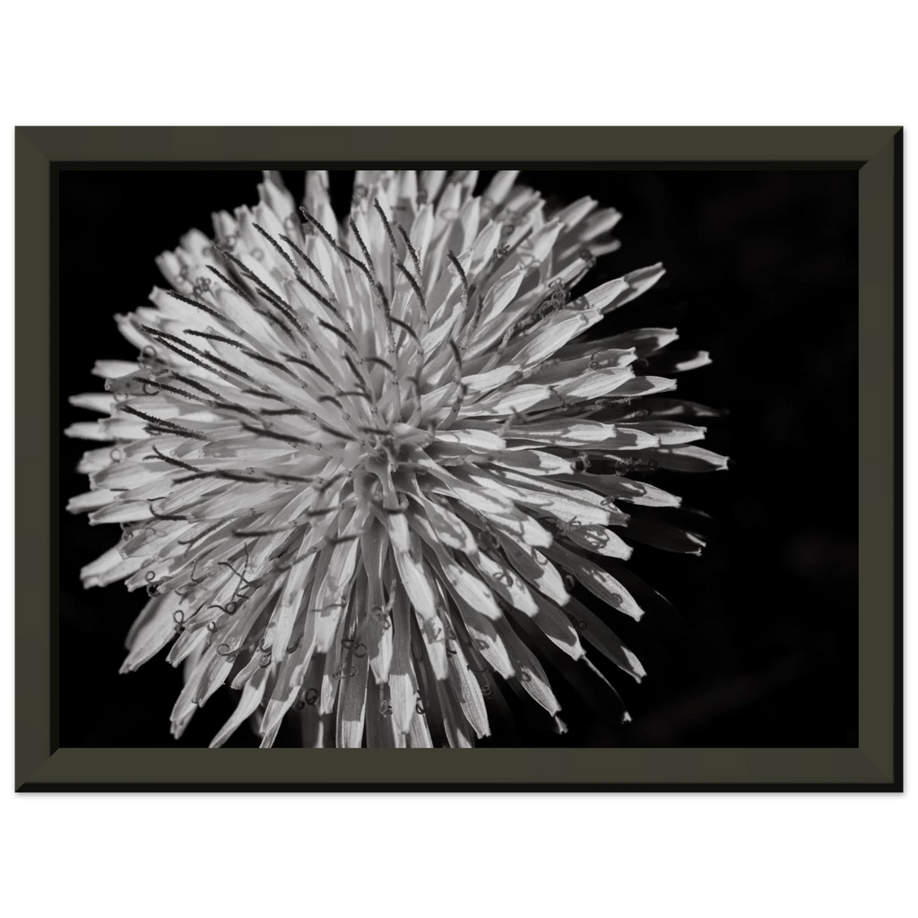 af0df3d8-3a6f-448e-8e5e-2459ac7c319e