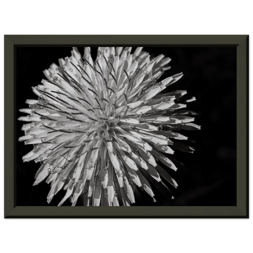 af0df3d8-3a6f-448e-8e5e-2459ac7c319e