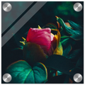 b040cbb0-a969-4dc8-b353-60e0f9864129