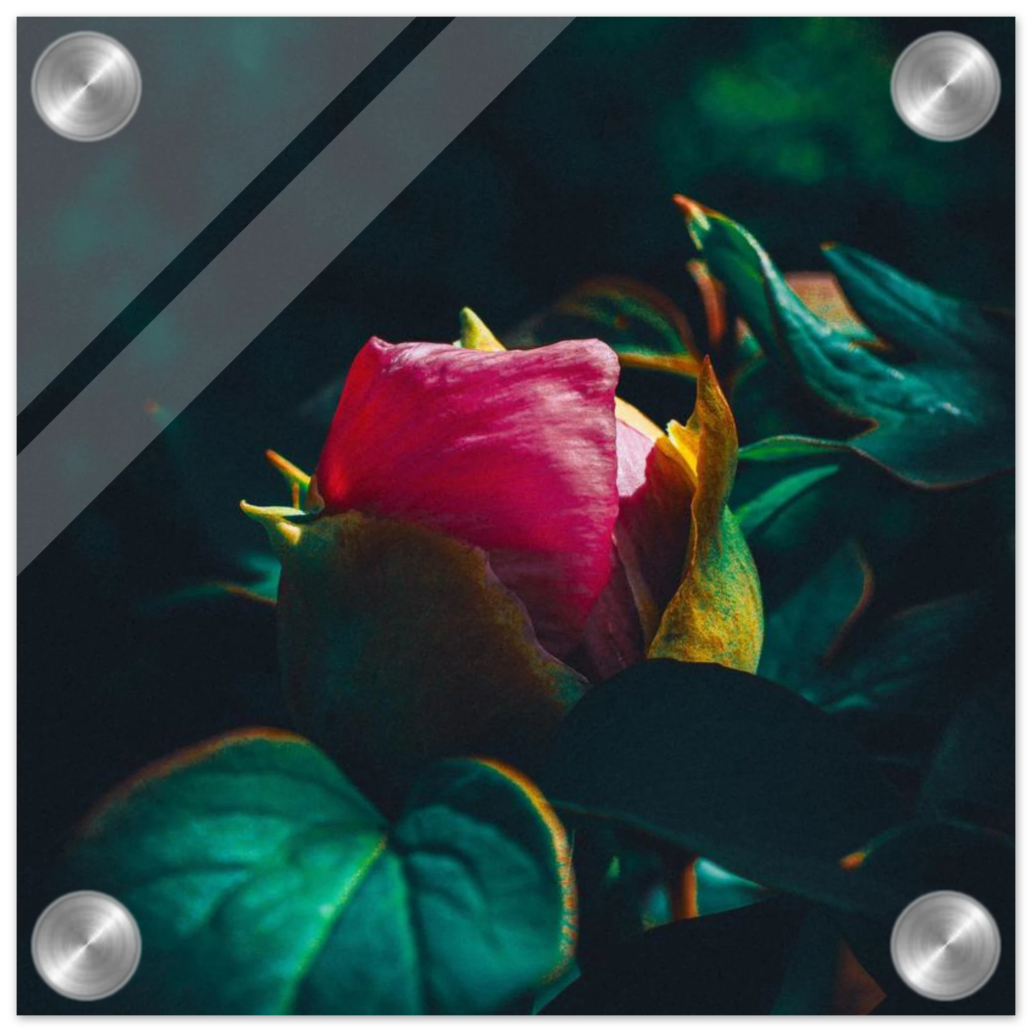 b040cbb0-a969-4dc8-b353-60e0f9864129