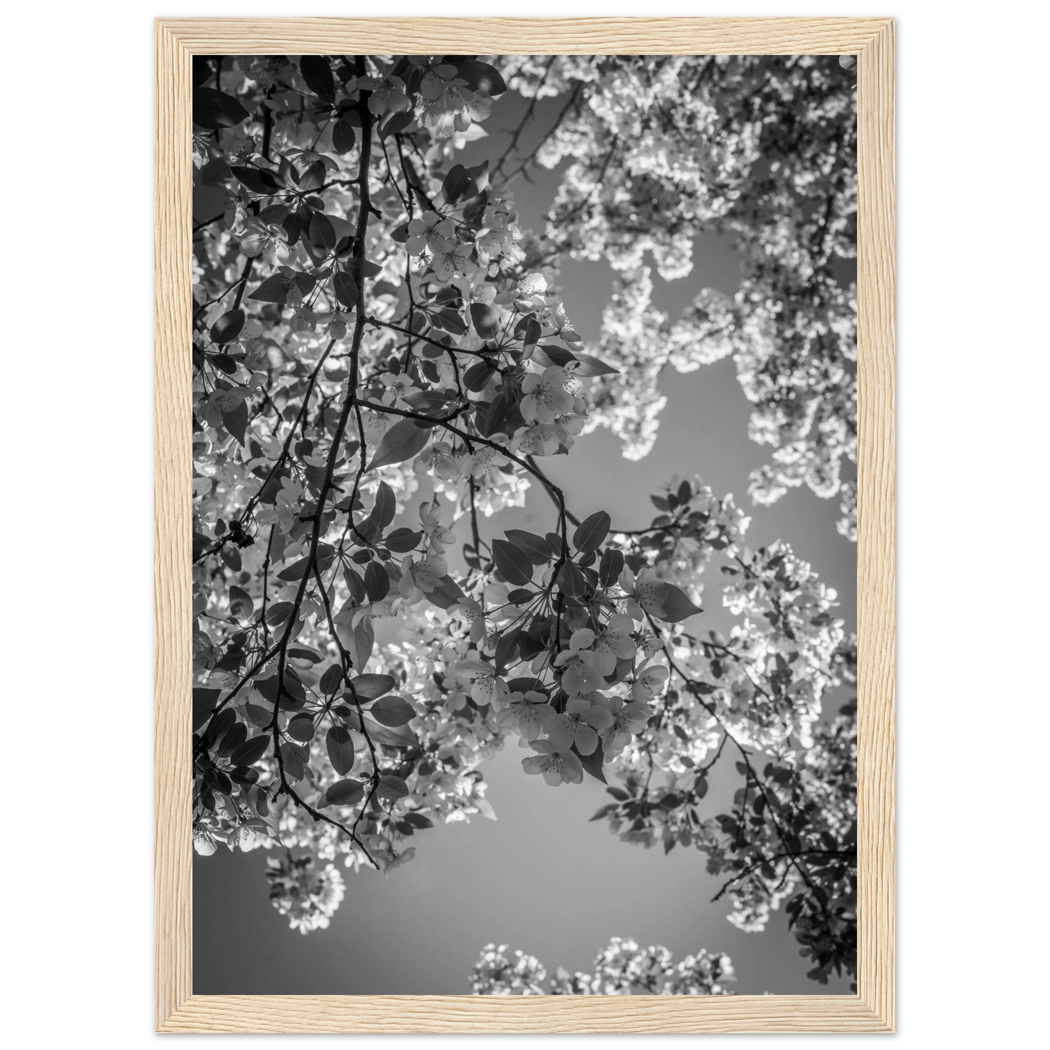 b049f951-7f48-4bc6-97a8-53fbe33b7b2c