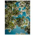 b073d089-6755-4e99-8449-3af7df4fe21b