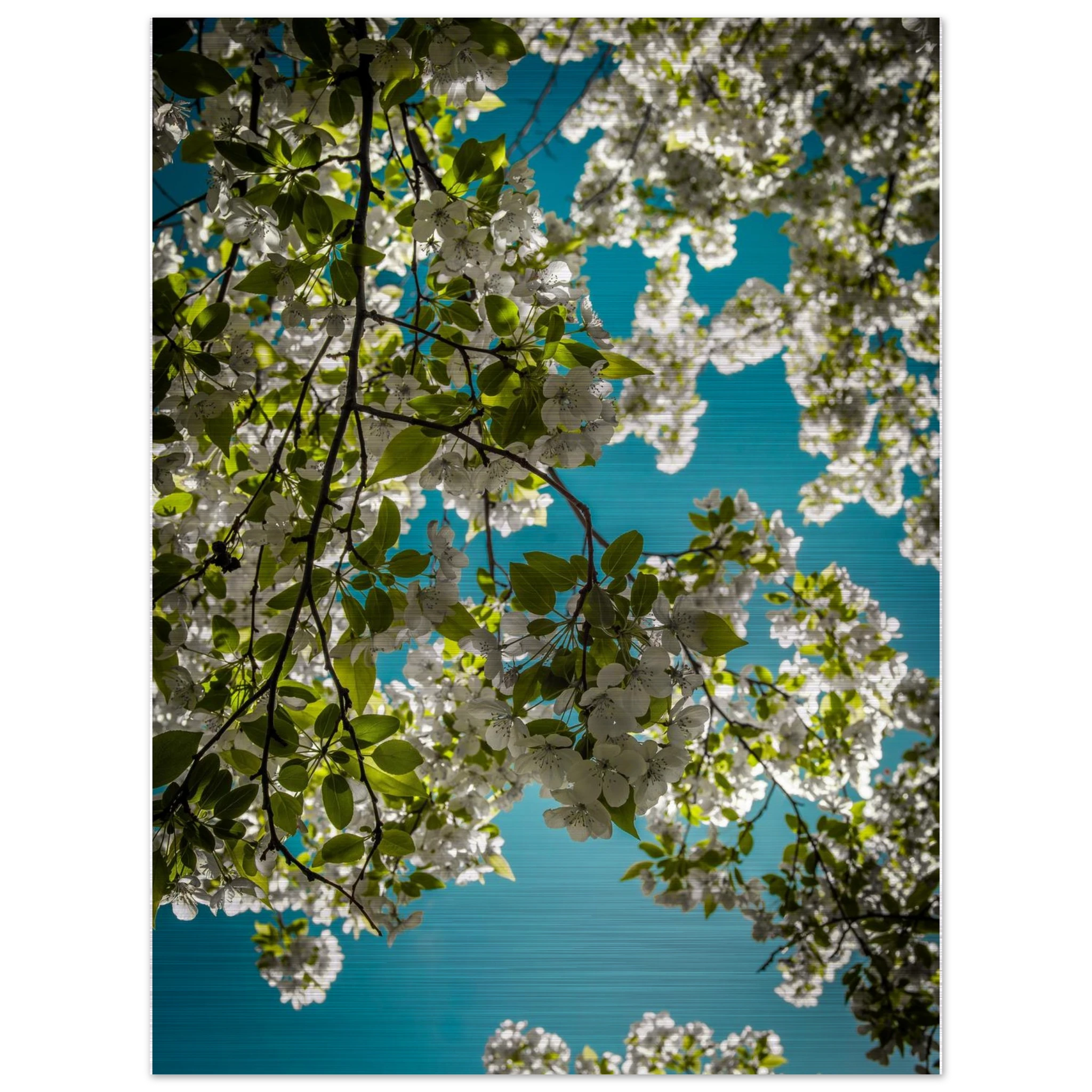 b073d089-6755-4e99-8449-3af7df4fe21b