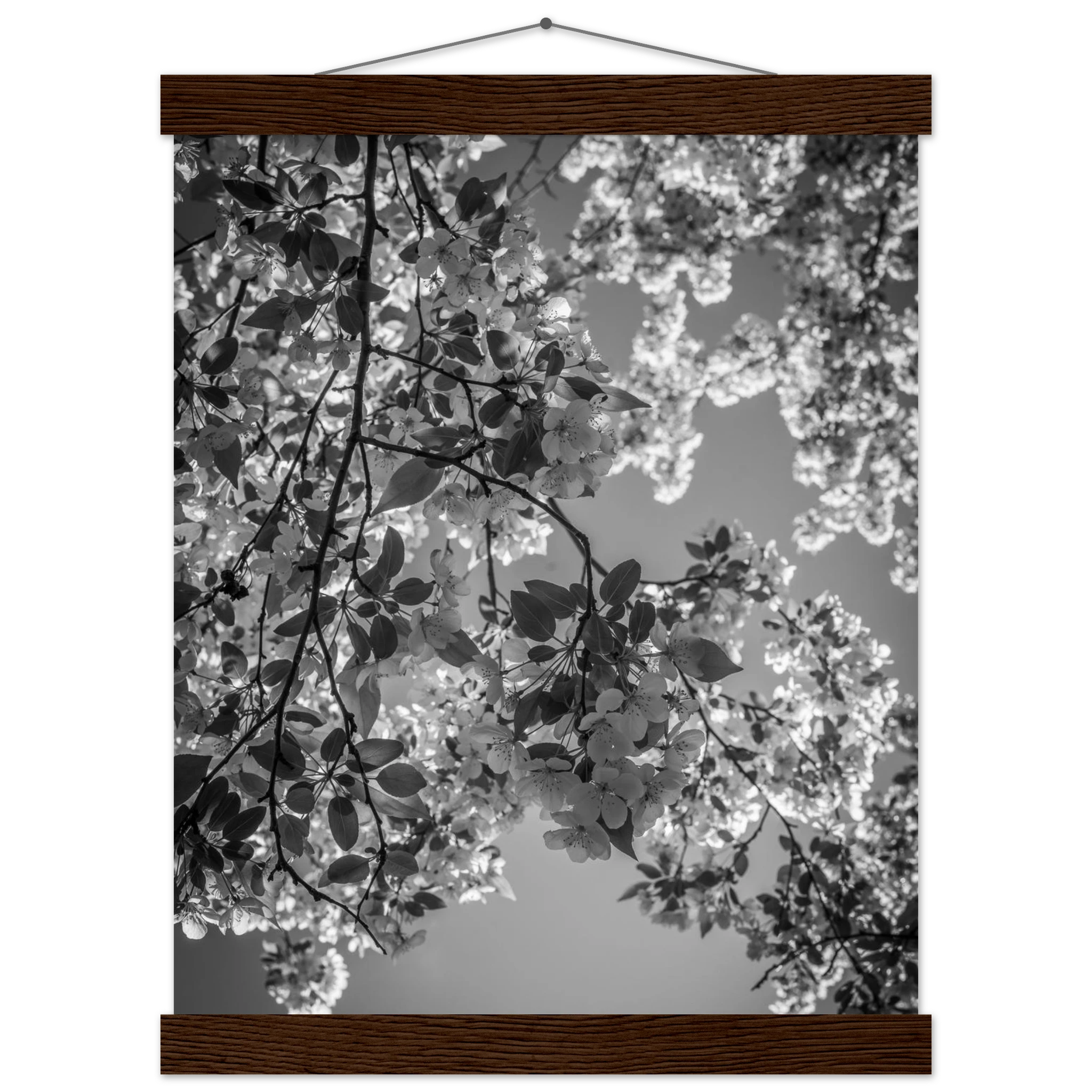 b113b69c-dde7-45d9-93e7-5719ccb27ba3