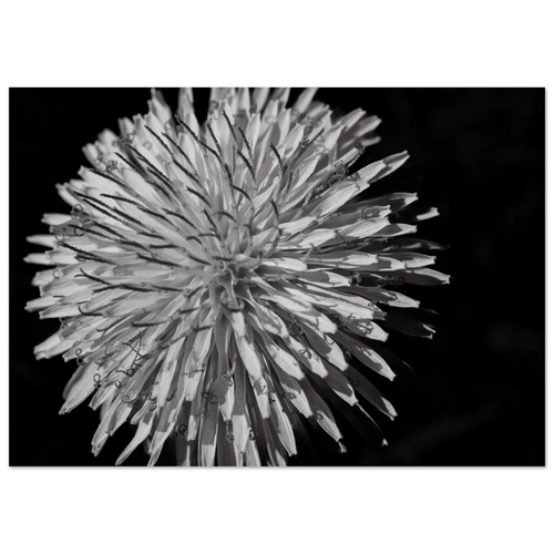b2769858-48c4-4d9b-a4f4-3563fb38b898