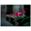 b2843c49-bb62-4575-a4f5-d7194a2e746e