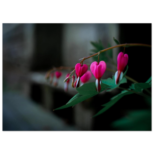 b2843c49-bb62-4575-a4f5-d7194a2e746e