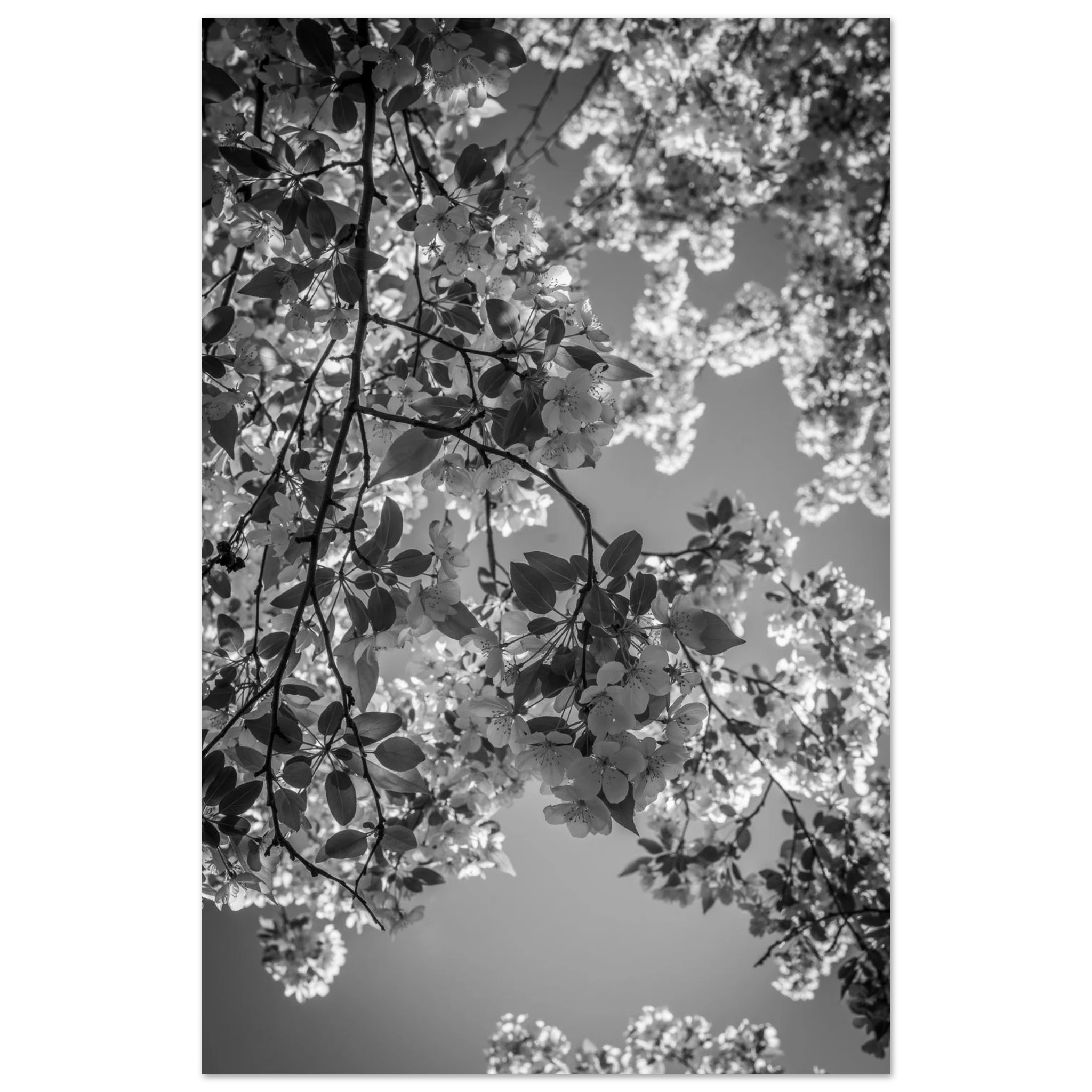 b4186e0a-29a7-4e2d-9789-c4a7ca2224ec