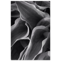 b52642fc-e627-4d83-9c42-7edbb5b24603