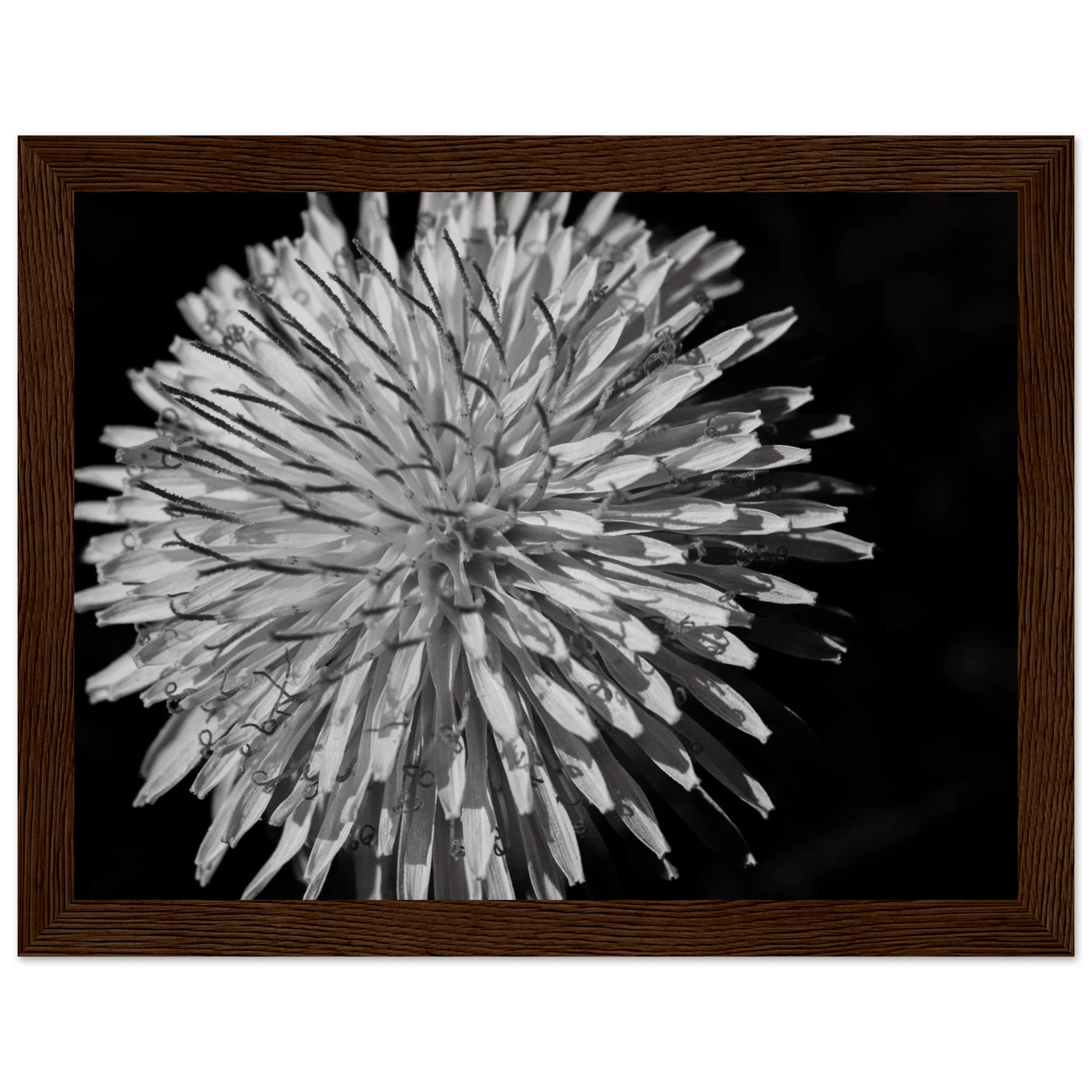 b549c5bc-4aa5-474e-ac5d-d04b41967074