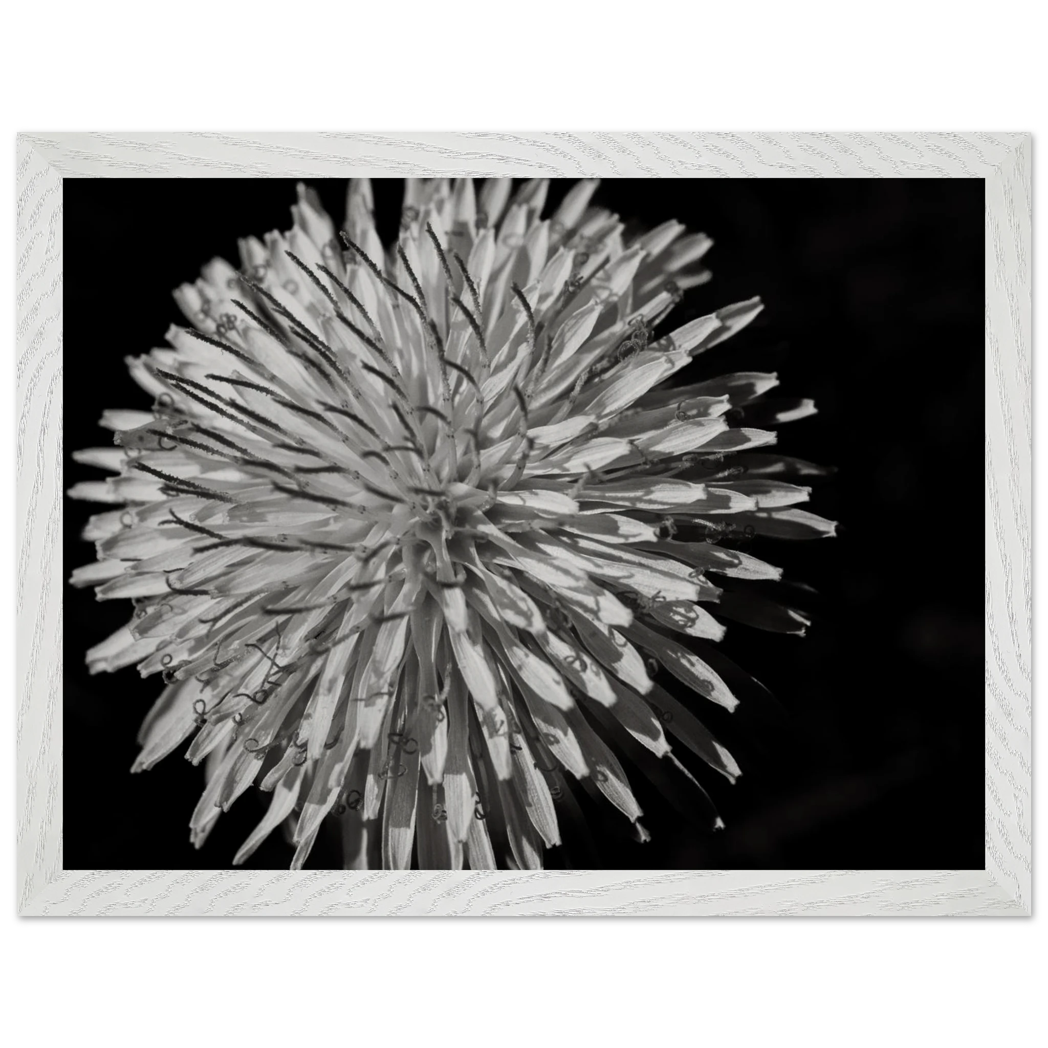 b85287a9-ba6a-49b6-ba03-3f5388cc431c