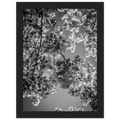 bb7e6b8f-afdd-49d7-a11e-9cd73e6dcdd4