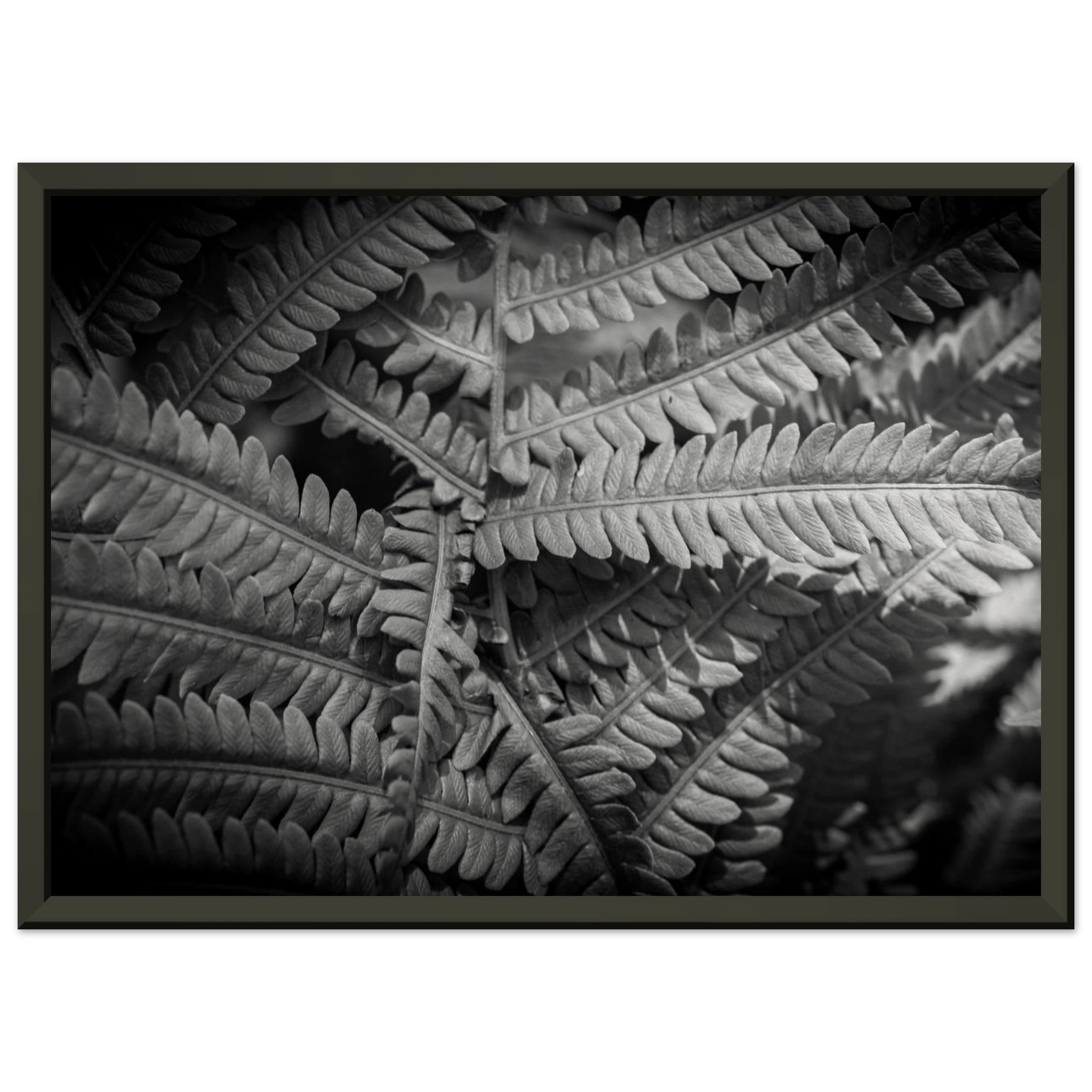 bc0d25c0-7223-4e16-95cc-de2c8226a2fd