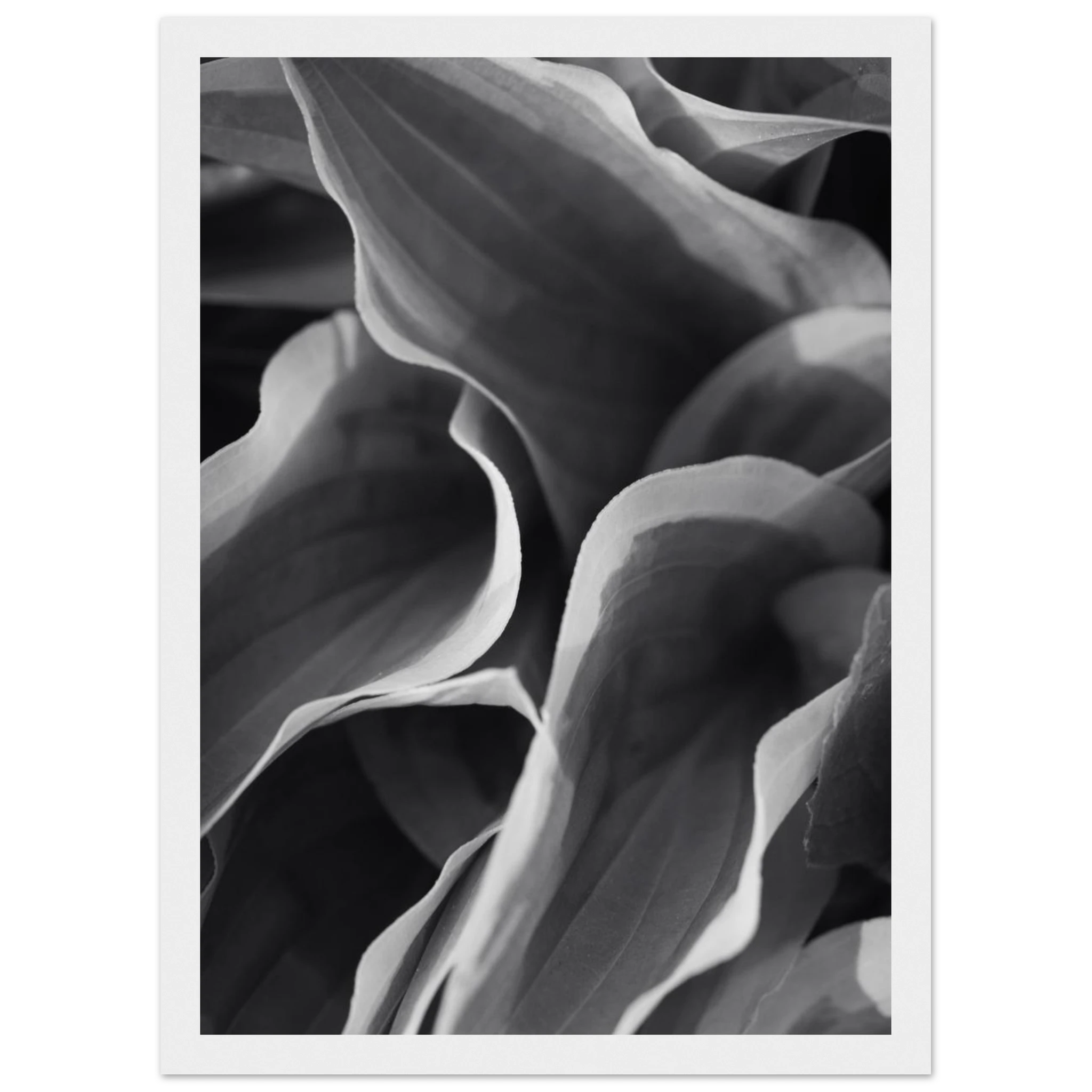 bd090726-f102-436e-939b-e21a370bdf4c