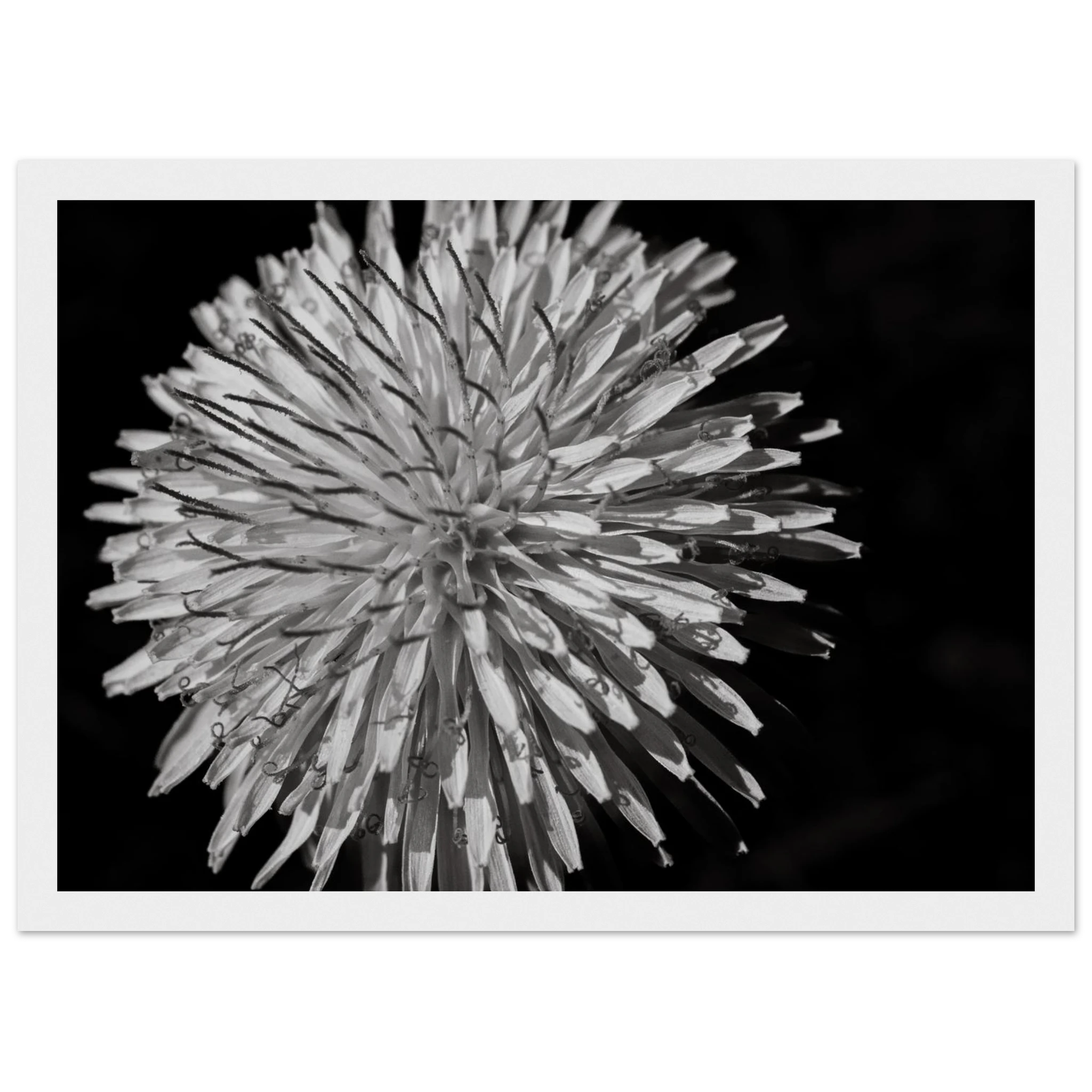 c0306713-72f9-4fc3-8dbd-053fea1d0618