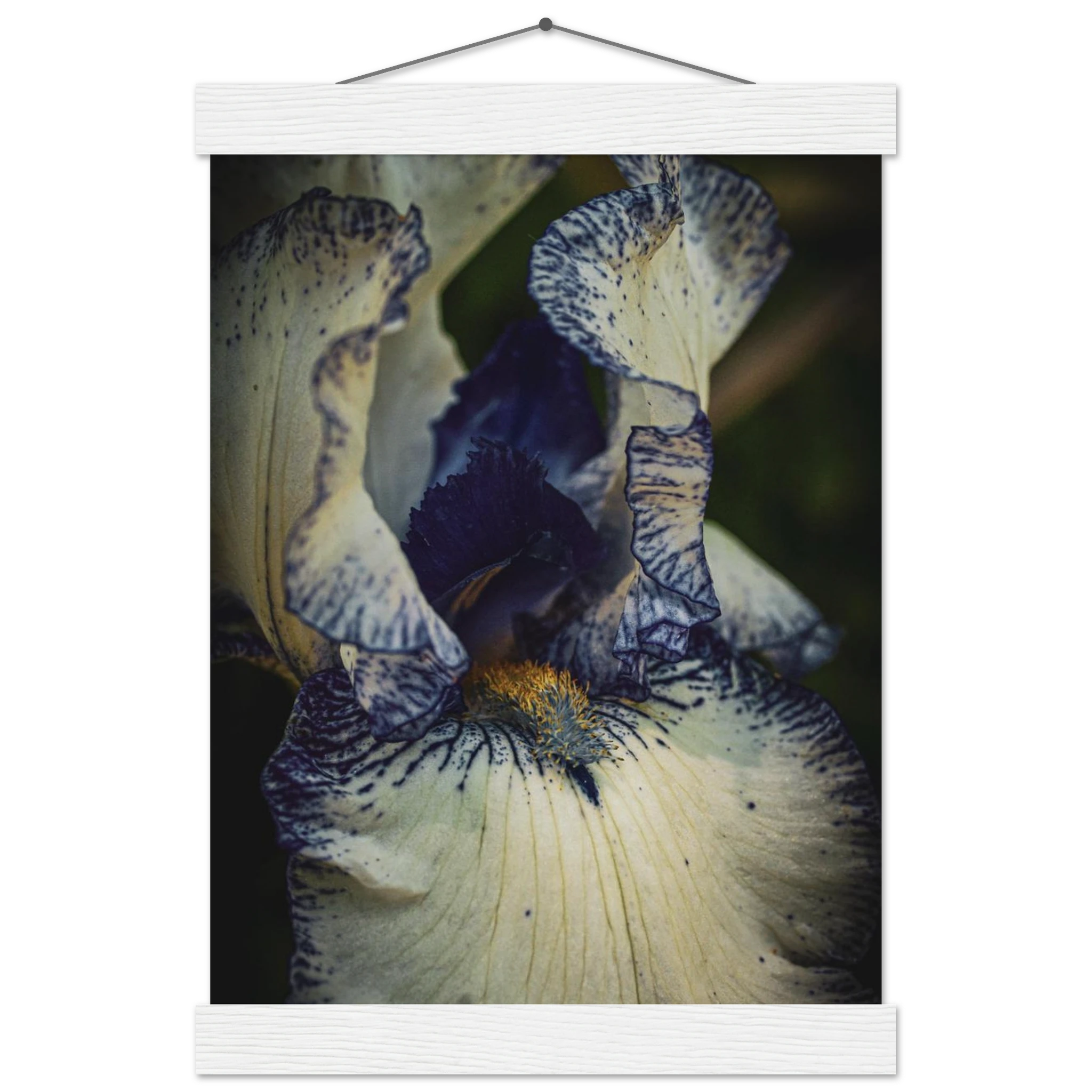 c06ab862-7ecd-4e41-8f07-ff9e9eb43ad4