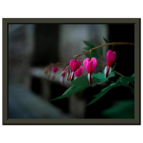 c07cf65e-9087-481b-b1a2-25e5e8321187